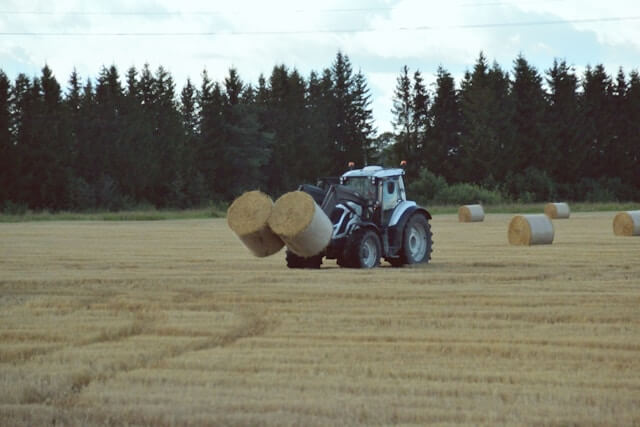 Farm Worker Jobs in Canada with Visa Sponsorship